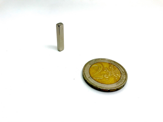 Magnetic Block TR48 20x4x3